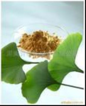 Ginkgo Biloba Extract 